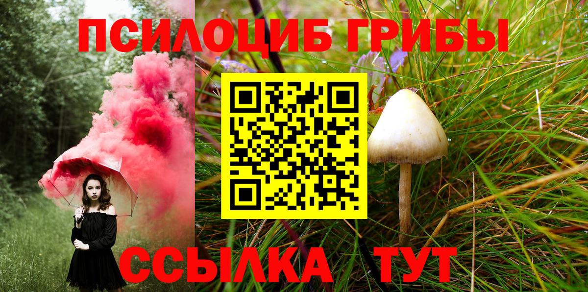 Галлюциногенные грибы Psilocybine cubensis  что такое наркотик  Сарапул  Вход с VPN 